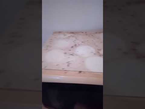 Curva din harghita corbu