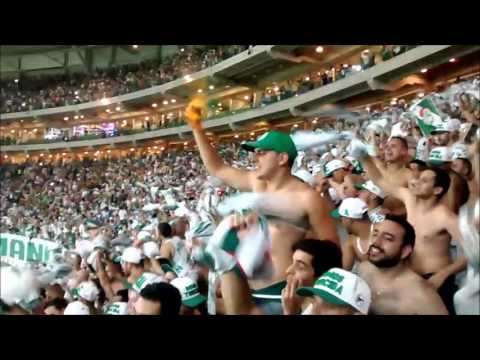 Festa no Chiqueiro // Copa do Brasil 2015 // TRICAMPEÃO