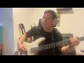 Shakira Whenever Wherever Bass Cover