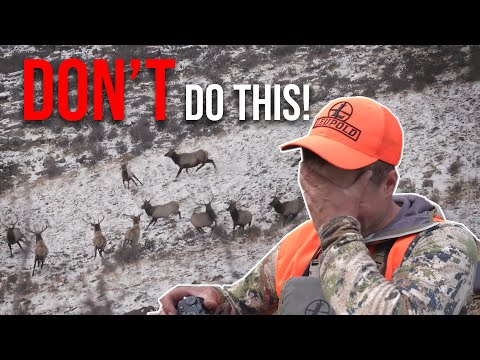 3 MISTAKES Elk Hunters Make!