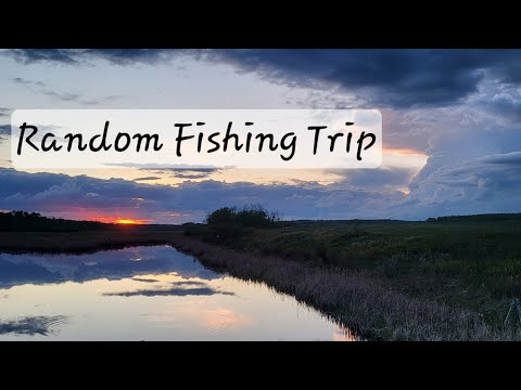 Random Fishing Trip