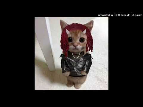 guys I made a boolymon type beat!