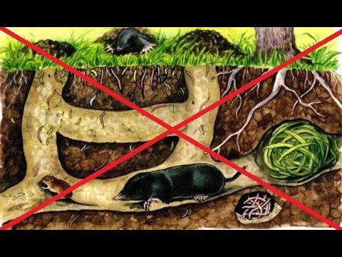 How to Catch a Mole Simple and fast A method that works very well Как поймать крота