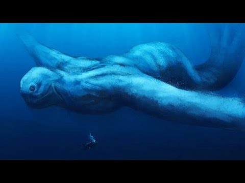 5 Most Mysterious Unidentified Sea Creatures Ever Found