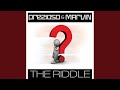 The Riddle (Alternative Radio Edit Mix)