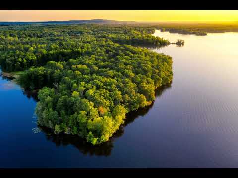 the sound of the Amazon Rainforest