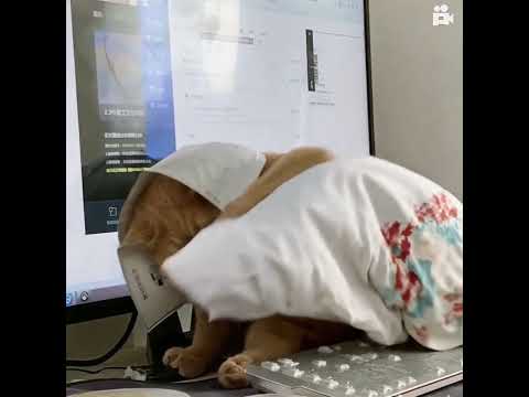 Latest news, knowledge and General Knowledge (GK).