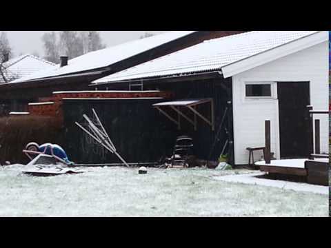 Vinterns första snöfall