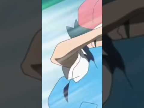 Dracovish vs garchomp