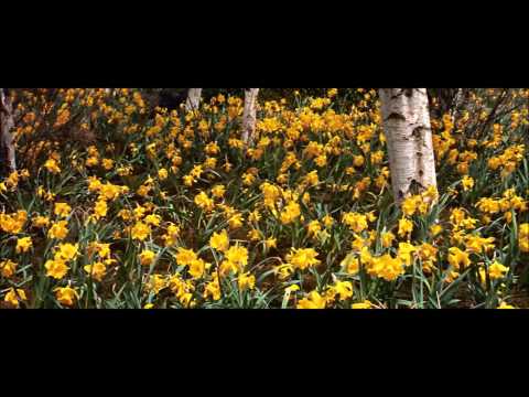 Spring - Dr Zhivago
