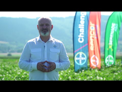 Invitație la Bayer Agro Arena Cultura Cartofului 2021,  județul Covasna