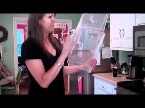 download lagu mp3 mp4 Home Salad Bar, download lagu Home Salad Bar gratis, unduh video klip Home Salad Bar