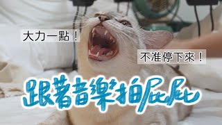 [心得/分享] 大家會跟著節奏幫貓咪拍屁屁嗎？