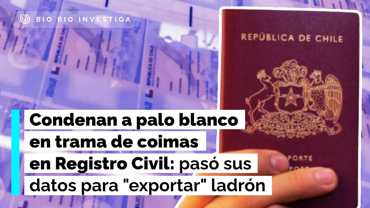Condenan a palo blanco en trama de coimas en Registro Civil: pasó sus datos para "exportar" ladrón