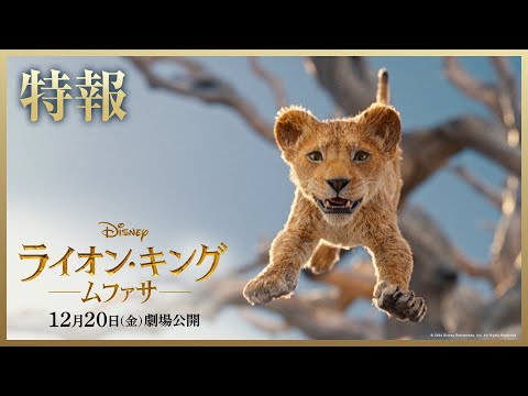 ライオン・キング：ムファサ Video4