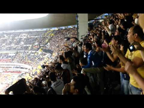 "Como No Te Voy A Querer Pumas Rebel 2014  Estadio Azteca" Barra: La Rebel &bull; Club: Pumas