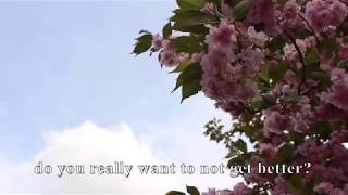 do you really want to not get better // joyce manor