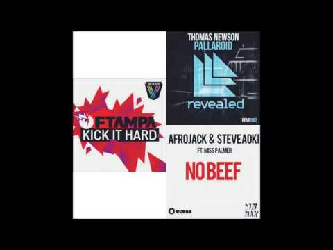 Thomas Newson vs FTampa vs Afrojack - No Kick It Pallaroid (Tixtix Mashup)