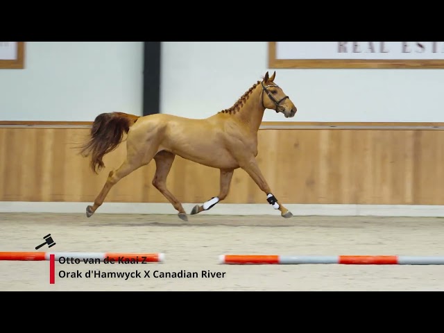 Otto van de Kaai Z