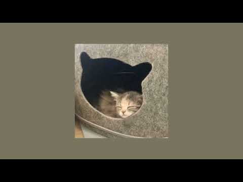 dhruv — moonlight〔 sped up/nightcore 〕