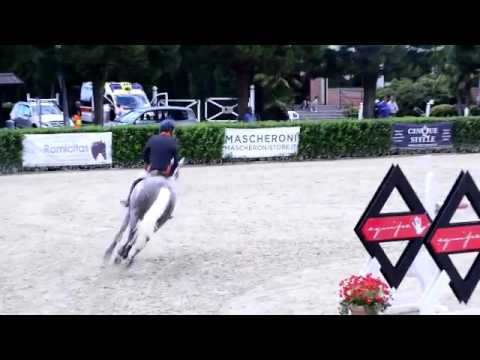 Grand Prix Jumper Sold: Colada 6 by Colman x Esteban - GP 145 - Gorla Minore - 18.09.2016