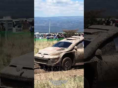 Pure Rally 🔥#WRCRallye #WRC #Rallye #Rally #Turbo #Drift #Car #FYP