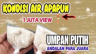 Download lagu UMPAN PUTIH IKAN MAS ANDALAN PARA JUARA, PENGHANCUR LAWAN mp3