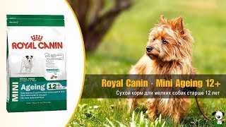 Royal Canin Mini Adult 8 кг (3001080) - відео 3