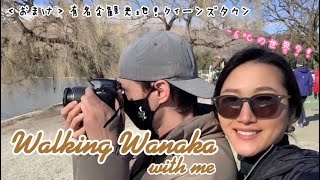 【旅ログ】-6℃の人気観光地ワナカ