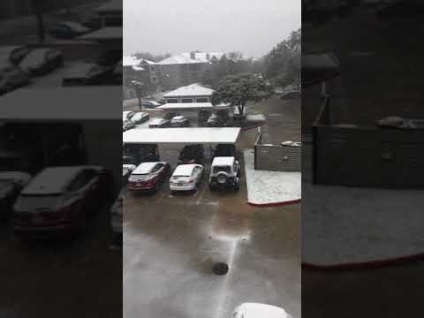 texas snow fall  January 10, 2021