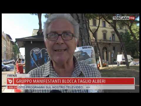 2019-08-01 TG REGIONALE ORE 19.00