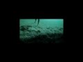 The Caretaker - Friends Past 