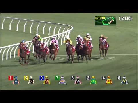 19/1/2022 (352) Beauty Joy- Z Purton