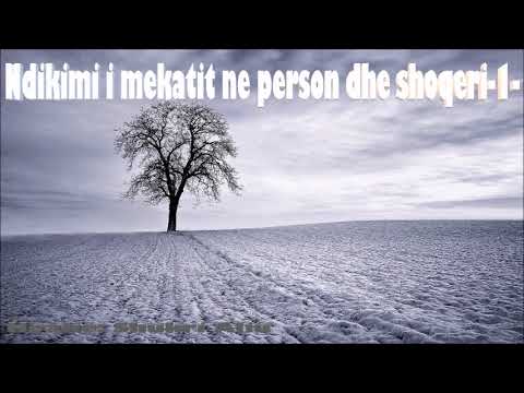 Ndikimi i mëkatit në person dhe shoqëri- 1-  Hoxhë: Shukri Aliu