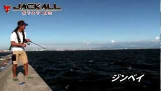 「ジンベイ」×沖堤＝タチウオ連発！