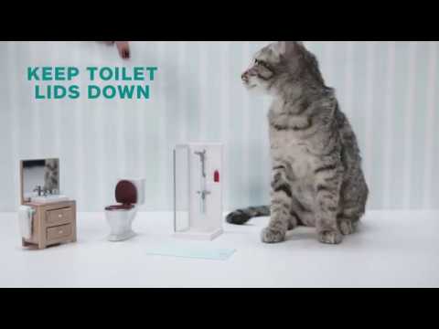 Allstate - Customer Success Story