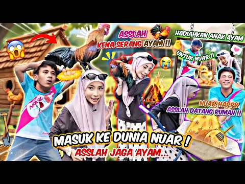 TINGGALKAN BANDAR ! ASSLAH MASUK DUNIA NUAR JAGA AYAM ! ASSLAH HADIAHKAN ANAK AYAM BARU UNTUK NUAR