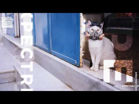 El DJ Majef & Xavier   Nie wychodź kotku z domku feat Bagi&DJ Okoo