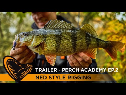 TRAILER - Perch Academy Episode 2 - Ned Style Rigging