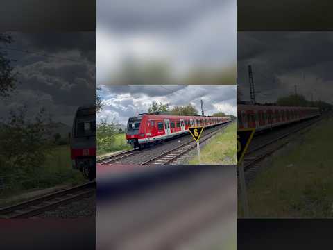 Trainspotting Frankfurt and Luc Wyp Trainspotting 