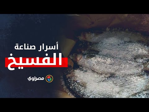 بائع فسيخ في بورسعيد يكشف أسرار الصنعة قبل شم النسيم