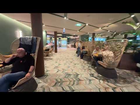 Thumbnail for Celebrity Edge Eden #alaska #glacier #4k #walkingtour 