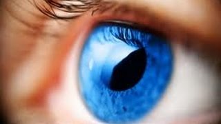 Facial Expressions, Eyes and Trust; Windows to the Soul?