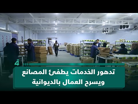 فيديو | تدهور الخدمات يطفئ المصانع ويسرح العمال بالديوانية وسط خسائر متراكمة