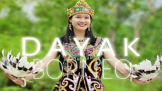 Download lagu Musik Dayak No Copyright mp3