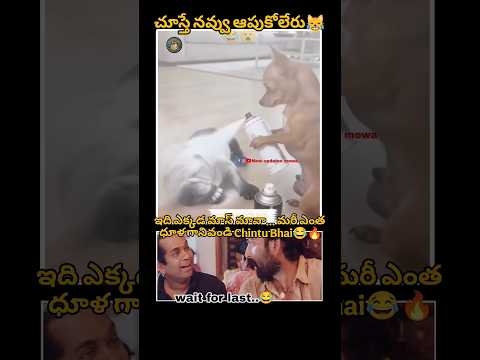 last lo twist Miss avakandi||😮#dogcomedy#chickencomedy #funnypainting#viralshorts #telugushorts