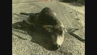 Pearl Jam - Sonic Reducer