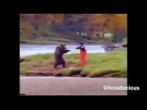 #thuglife kung fu bear