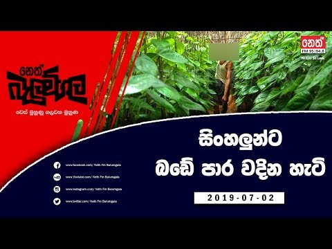 Neth Fm Balumgala | සිංහලුන්ට බඩේ පාර වදින හැටි | 2019-07-02