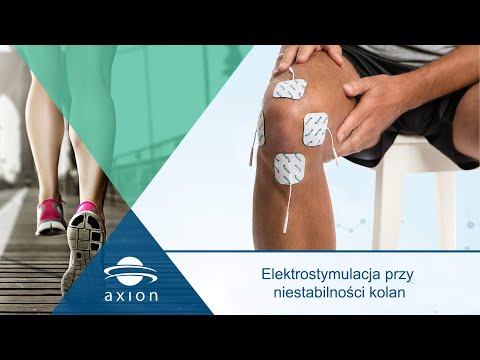 Anatomia człowieka mięśnie szkieletowe Piękna figura i silne mięśnie